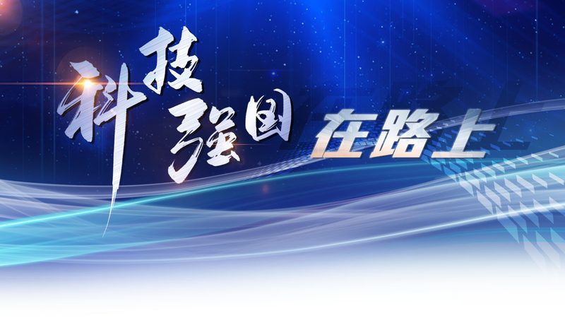 OA办公系统：性价比背后的考量因素